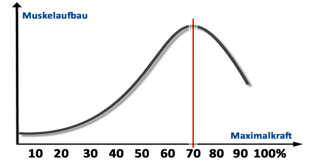 Isokinator-Training mit 70% der Maximalkraft