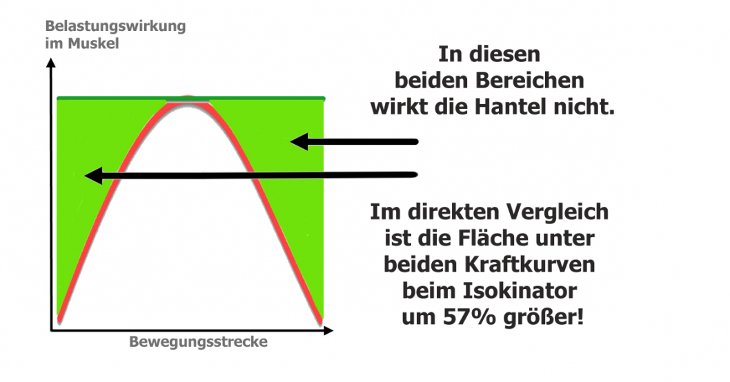 Der Isokinator hat die bessere Kraftkurve Der Isokinator hat die bessere Kraftkurve