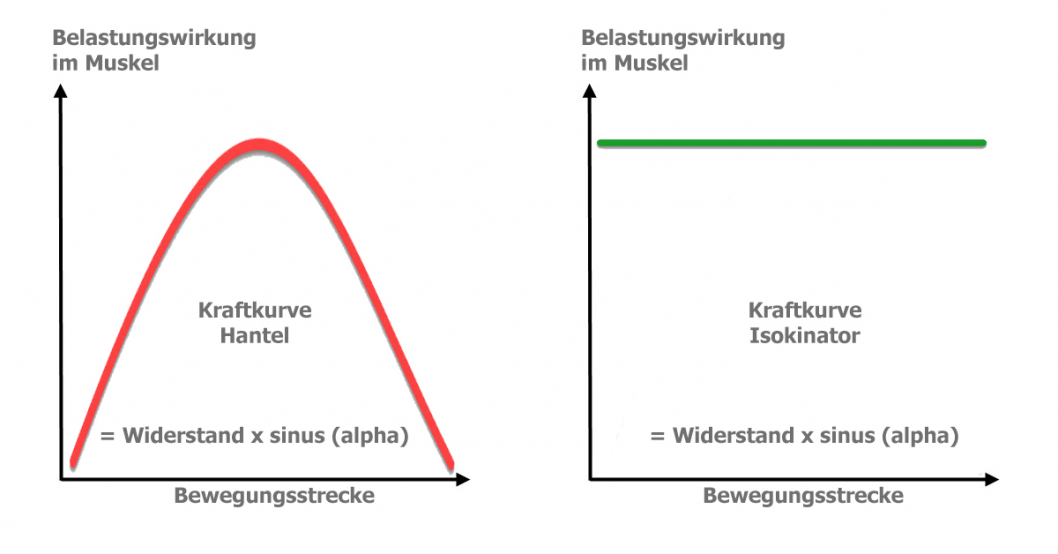 Kraftkurve Hantel zu Isokinator Kraftkurve Hantel zu Isokinator