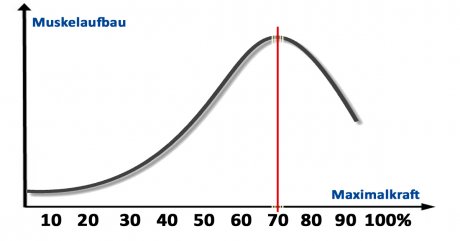 Genau richtig trainieren mit dem Isokinator